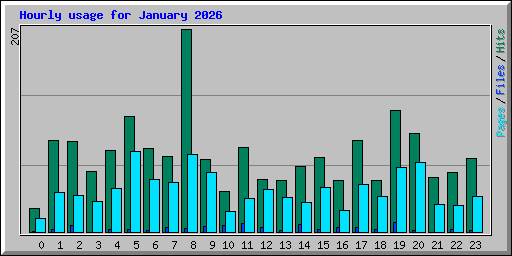 Hourly usage for January 2026