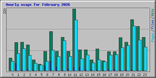 Hourly usage for February 2026