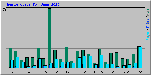 Hourly usage for June 2026