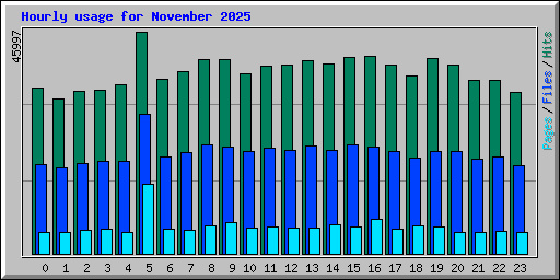 Hourly usage for November 2025