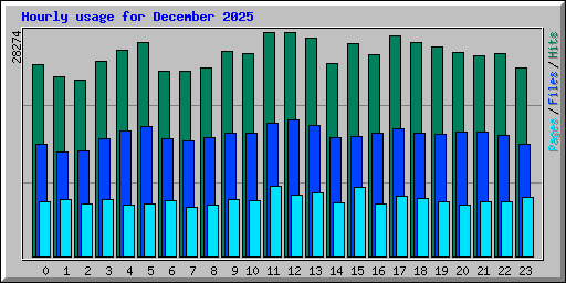 Hourly usage for December 2025