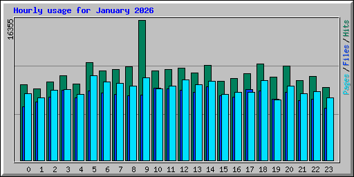 Hourly usage for January 2026