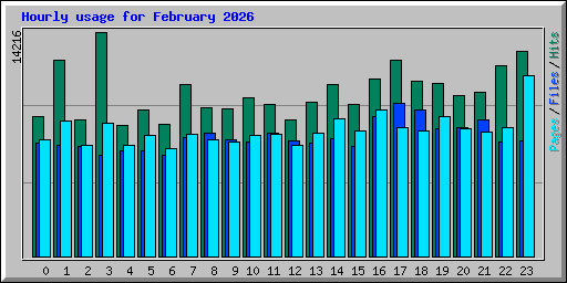 Hourly usage for February 2026