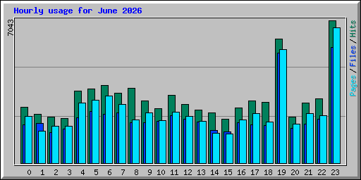 Hourly usage for June 2026