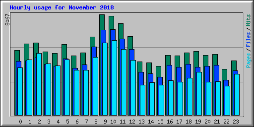 Hourly usage for November 2018