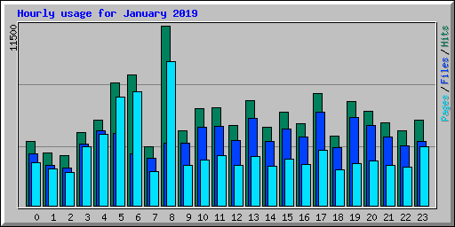 Hourly usage for January 2019
