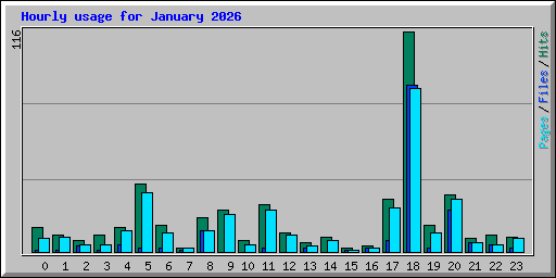 Hourly usage for January 2026
