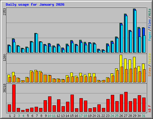 Daily usage for January 2026