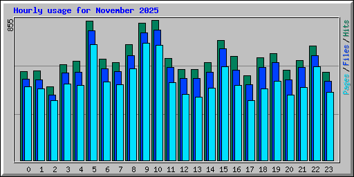 Hourly usage for November 2025