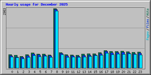 Hourly usage for December 2025