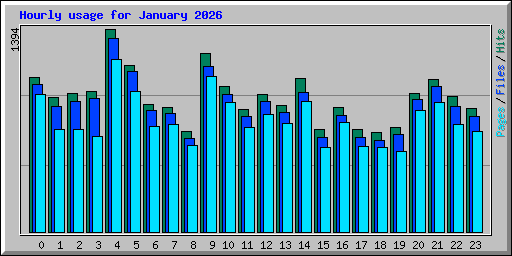 Hourly usage for January 2026