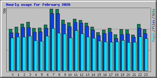 Hourly usage for February 2026