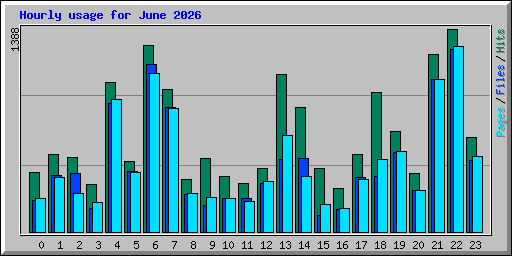 Hourly usage for June 2026