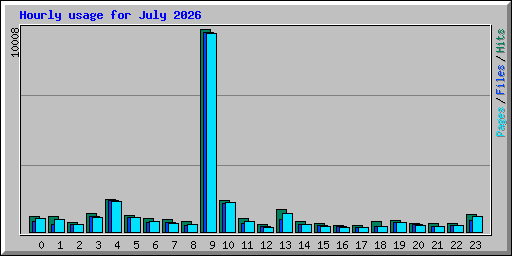Hourly usage for July 2026