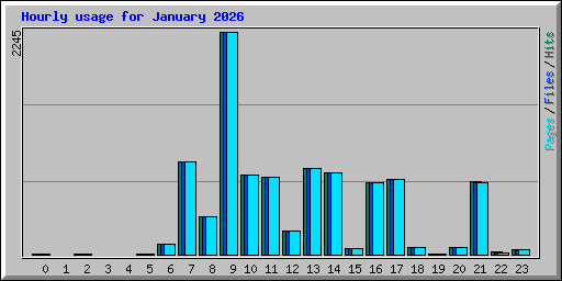 Hourly usage for January 2026