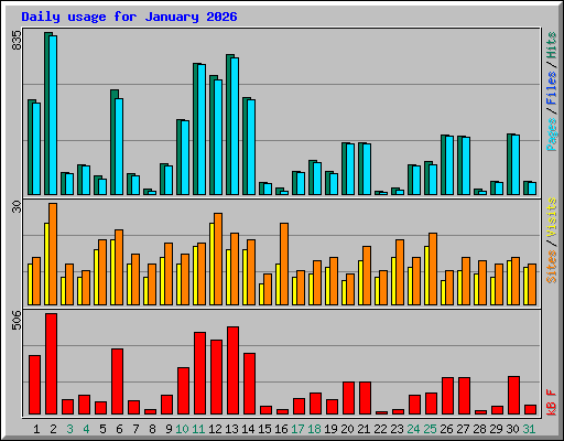Daily usage for January 2026