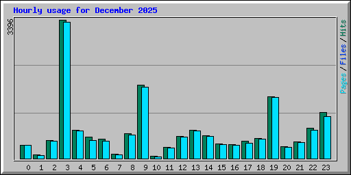 Hourly usage for December 2025