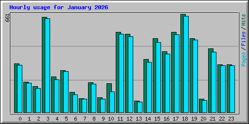 Hourly usage for January 2026