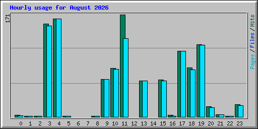 Hourly usage for August 2026