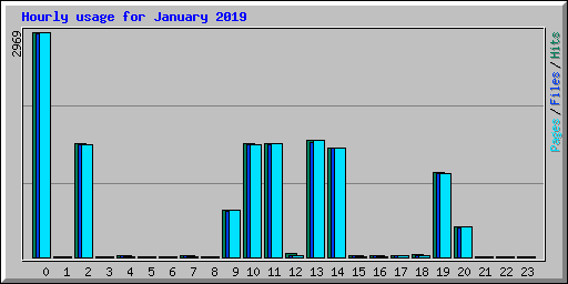 Hourly usage for January 2019